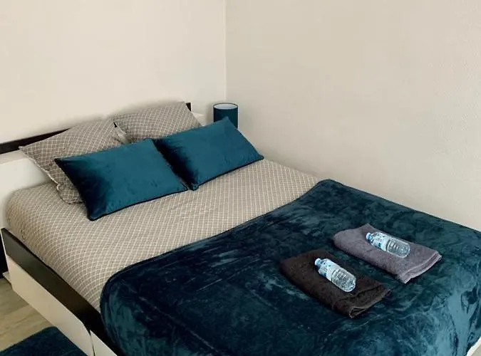 Agreable Appartement 2 Pieces A Forbach Avec Garage Ferme - Check In Autonome
